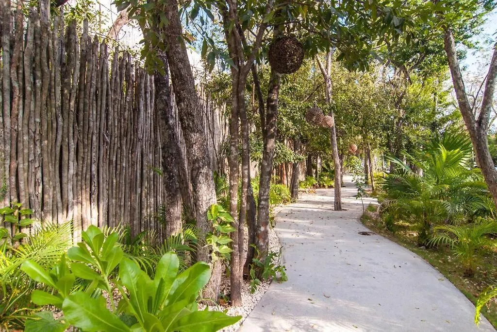 Spectacular Villa Gaia/Ph/Private Pool Tulum Mexico