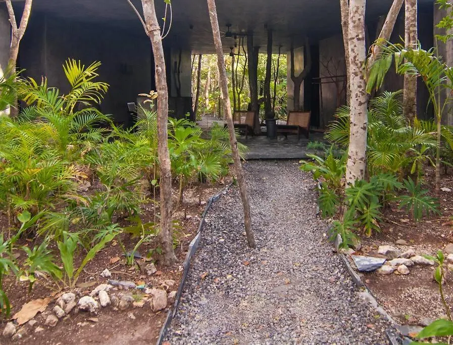 Spectacular Villa Gaia/Ph/Private Pool Tulum 0*,  Meksyk